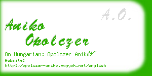 aniko opolczer business card